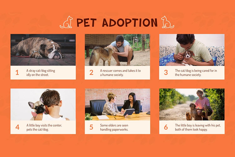 Pet Adoption Storyboard Template